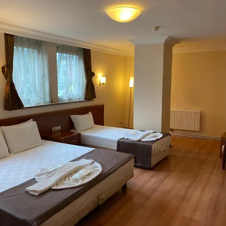 ホテル Triada Gayrettepe 3*
