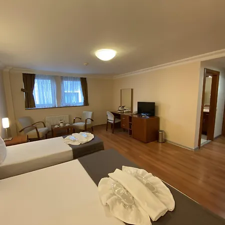 ホテル Triada Gayrettepe 3*